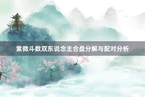 紫微斗数双东说念主合盘分解与配对分析